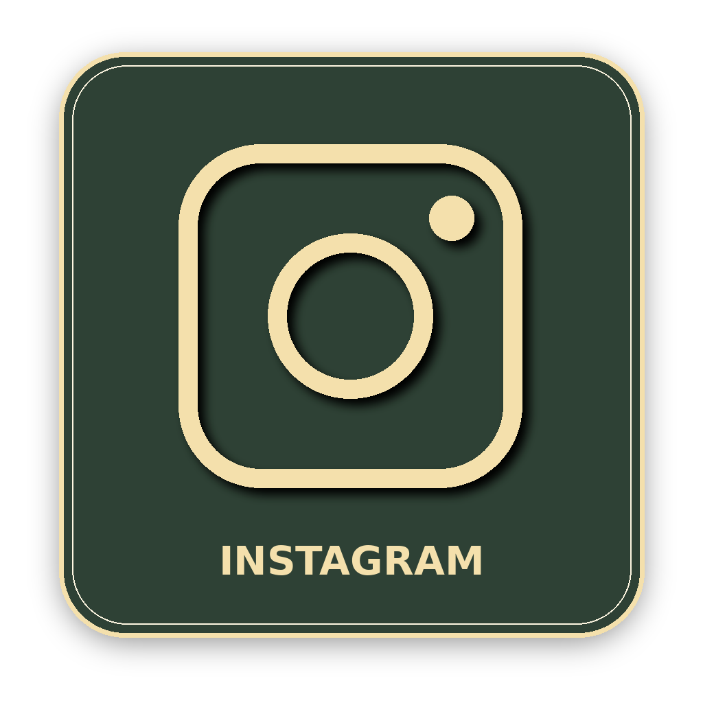 Instagram*