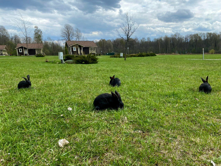 Фото Барн Хаус Вилэдж