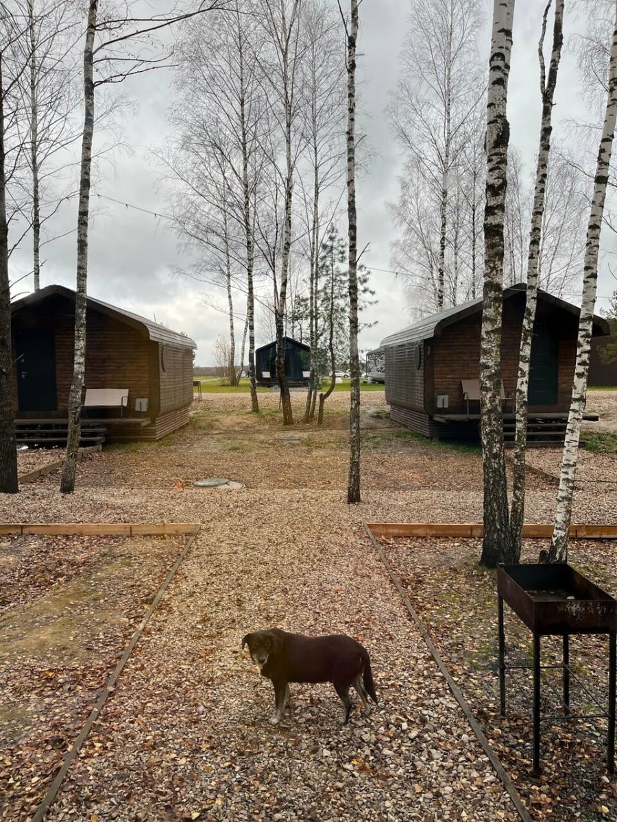 Фото Михеево Старт