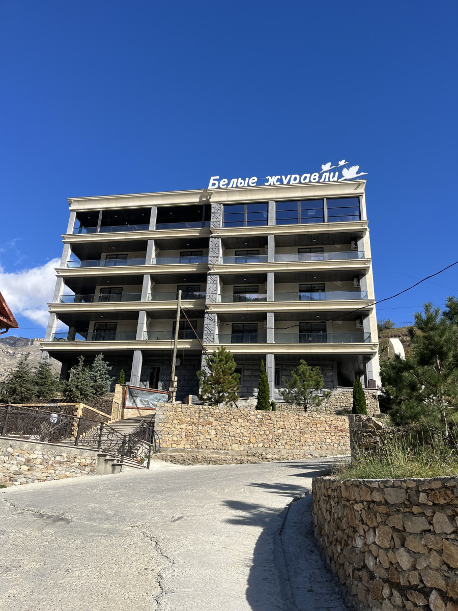 Фото Белые журавли