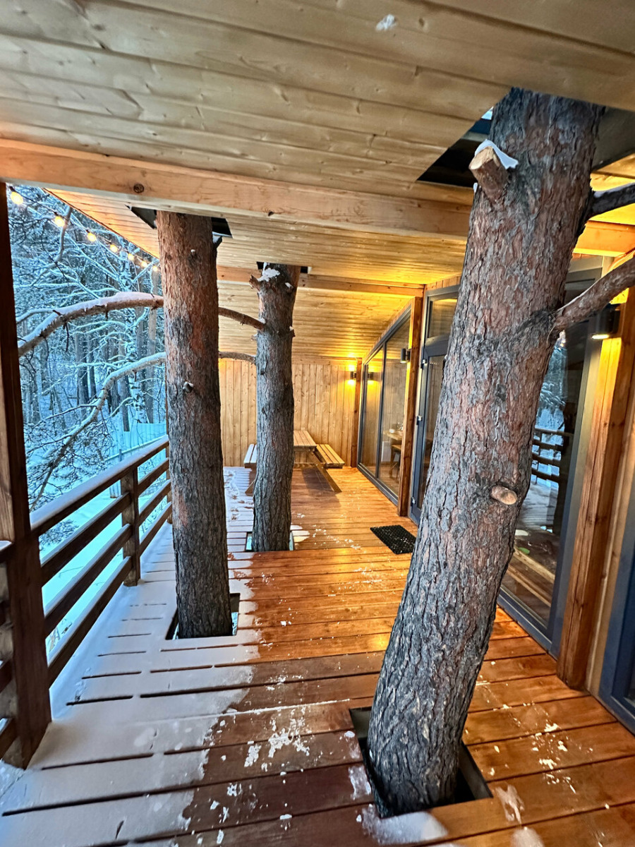 Фото Три Сосны