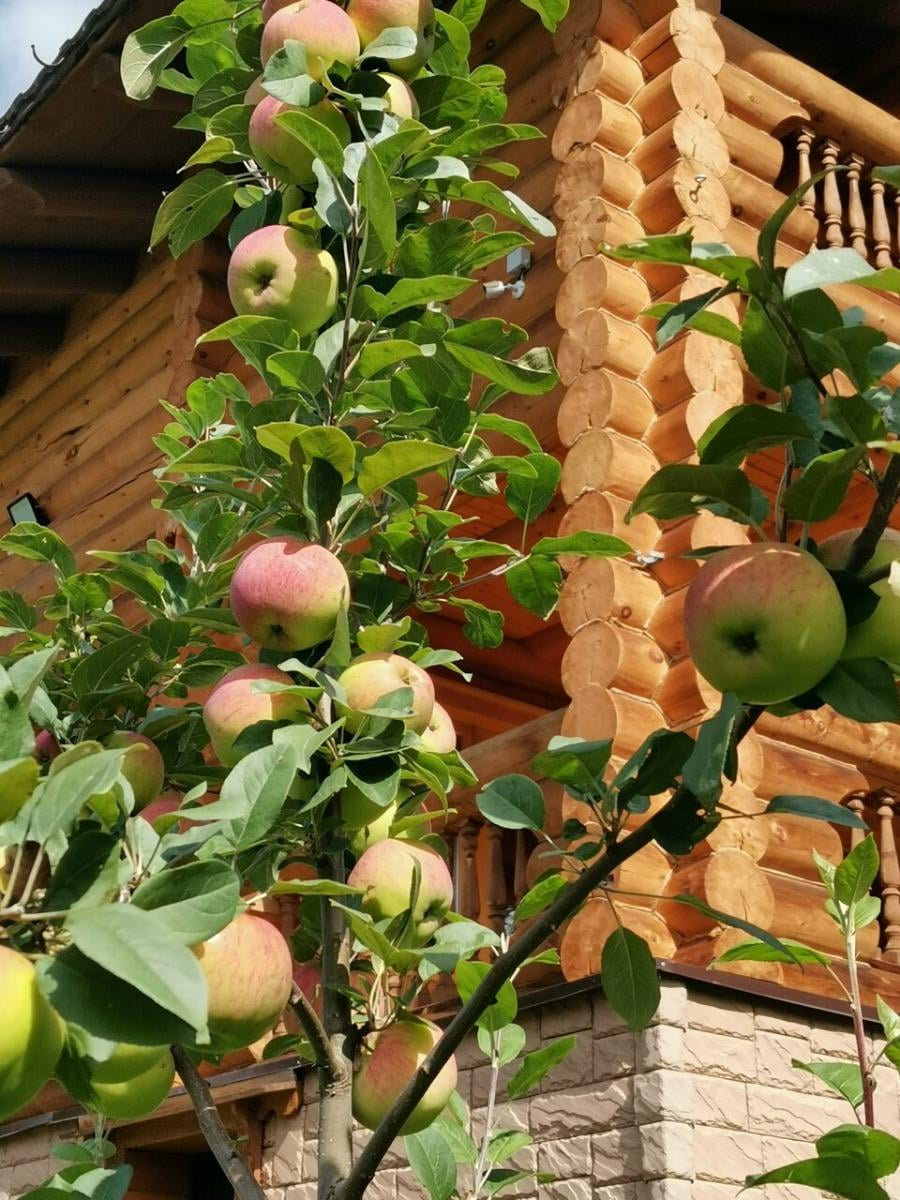 Фото Куатанг