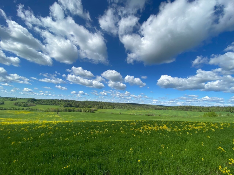 Фото Ново Крылово