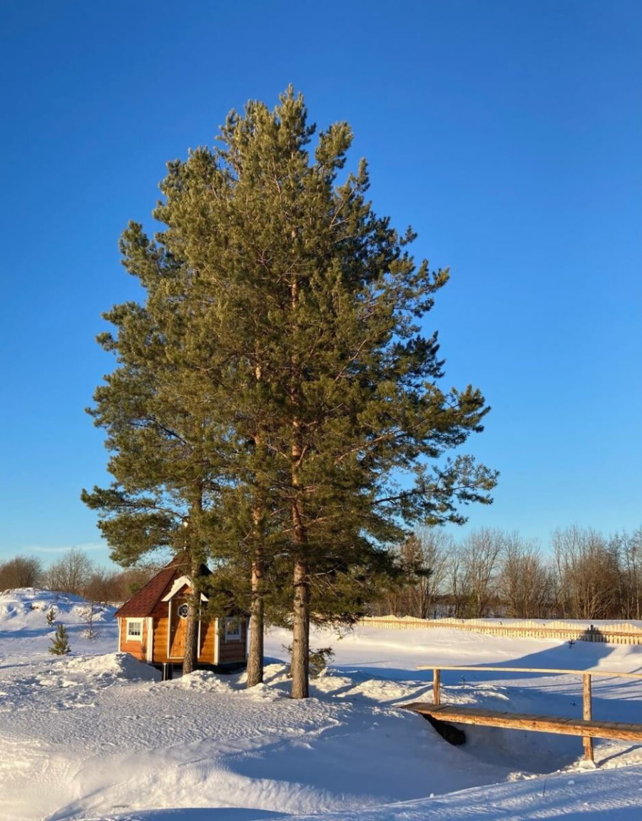 Фото Ново Крылово