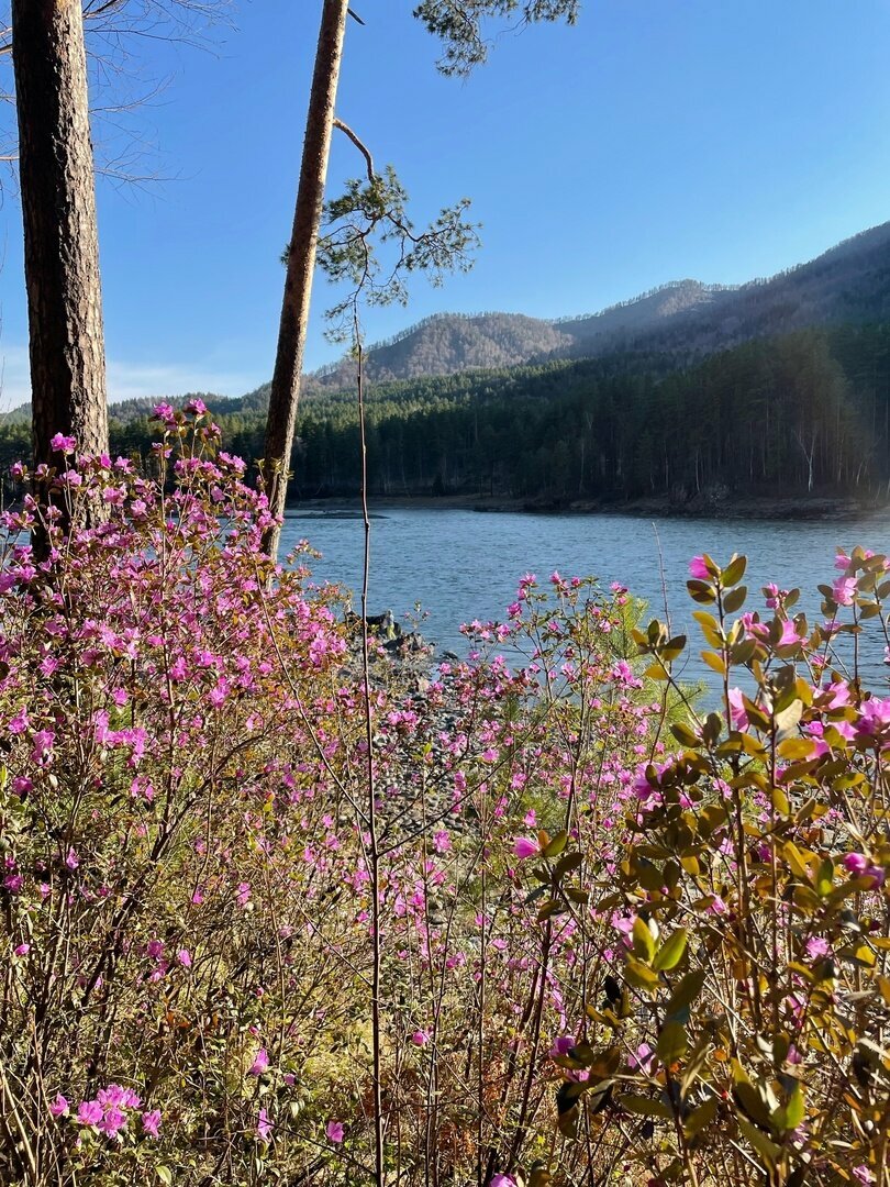 Фото Орлиное гнездо