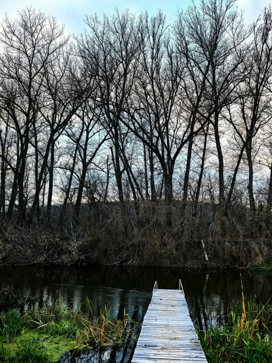 Фото Твоё Место