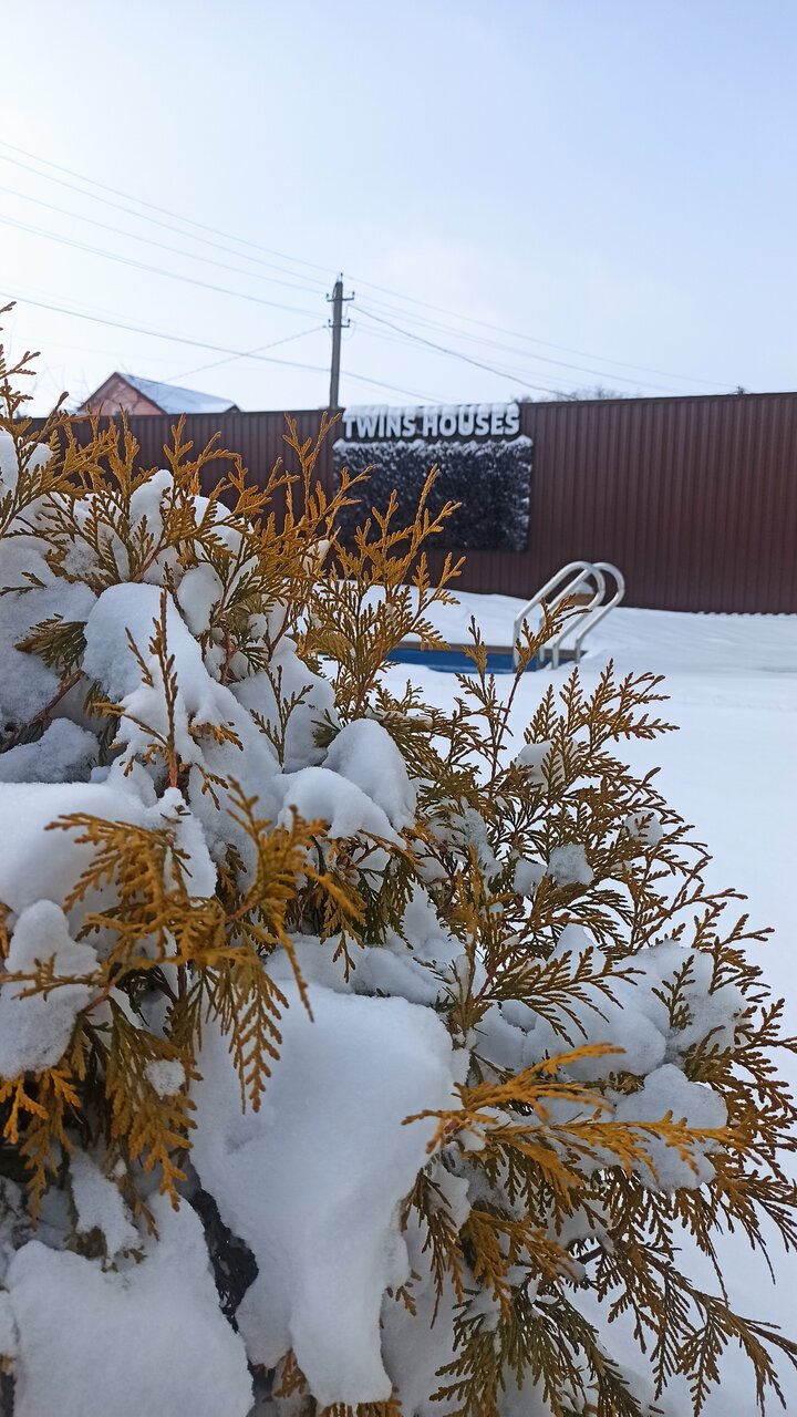 Фото Twins House