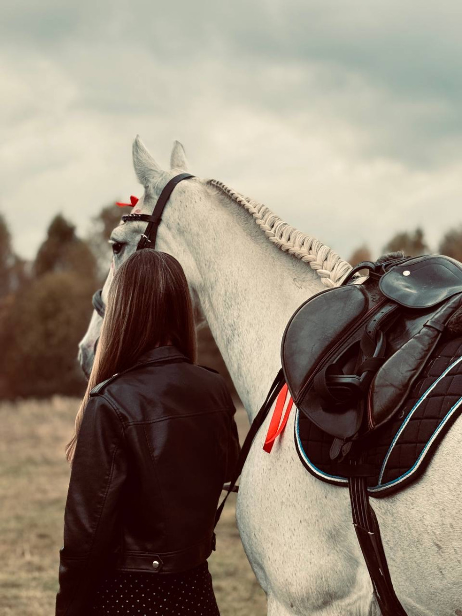 Катание на лошадках