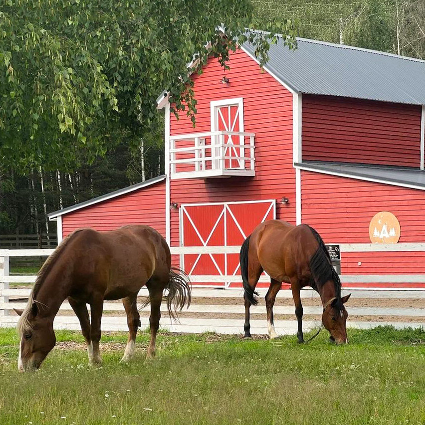 Фото Глэмпинг А-Ферма