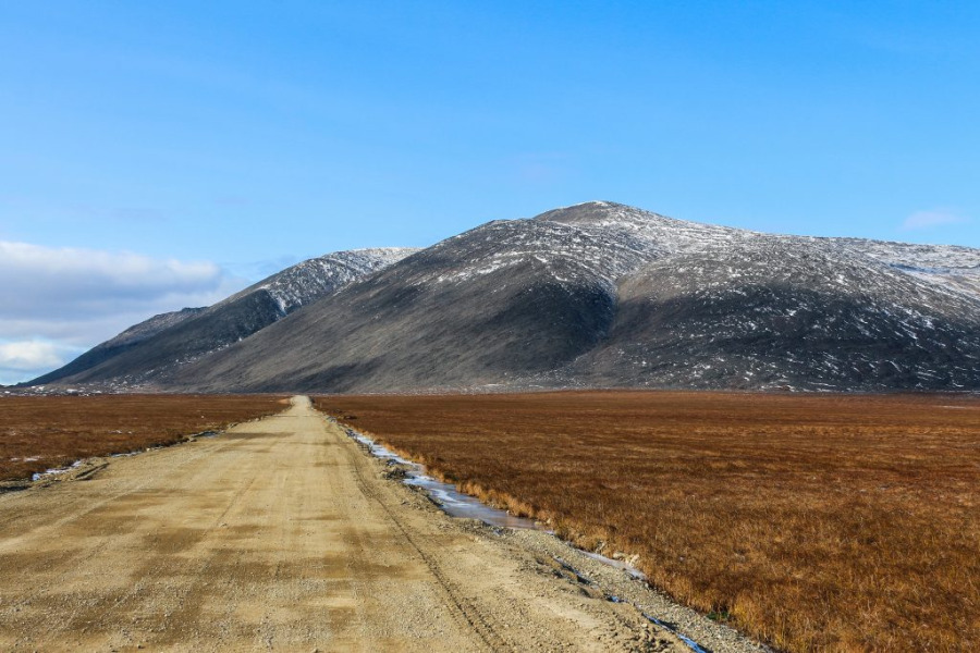 Фото Эко-глэмпинг Умка