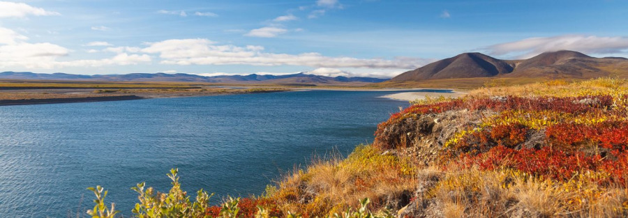 Фото Эко-глэмпинг Умка