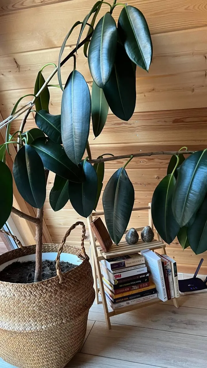 Фото Дом Углом